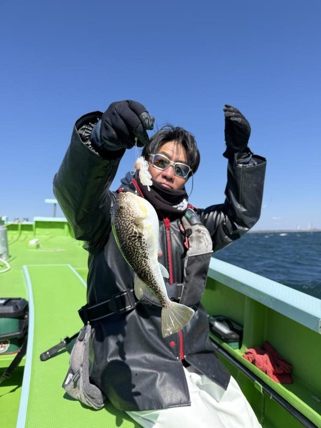 フグ(ショウサイフグ)