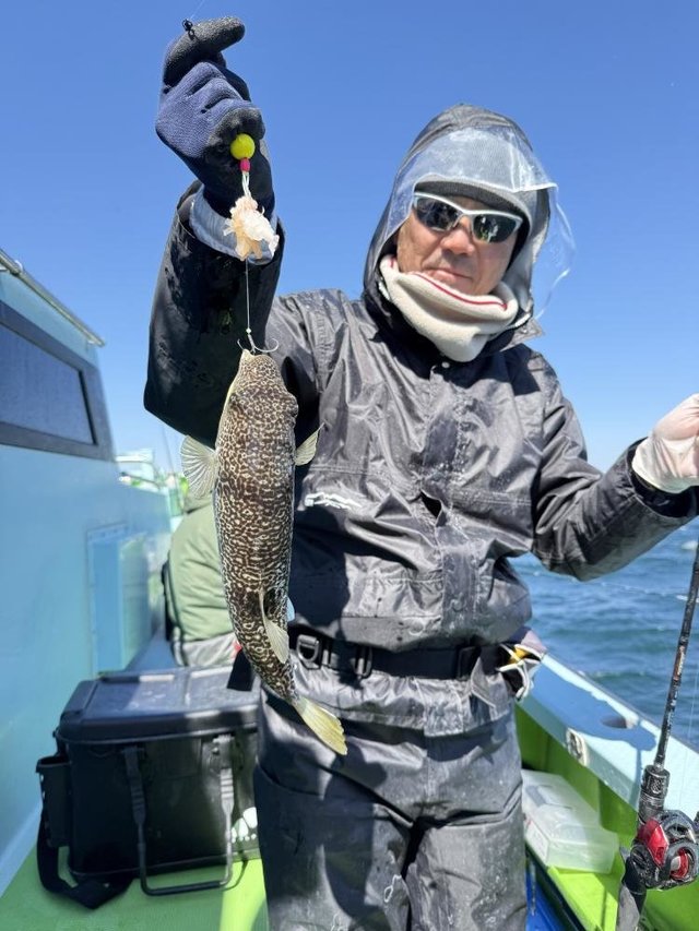 フグ(ショウサイフグ)