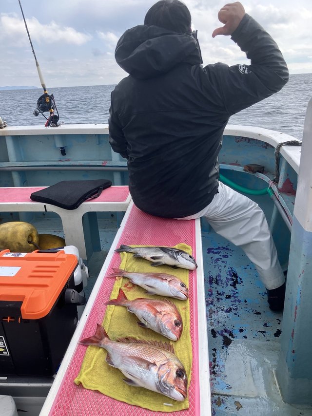 マダイ・クロダイ