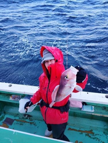 アマダイ(アカアマダイ)