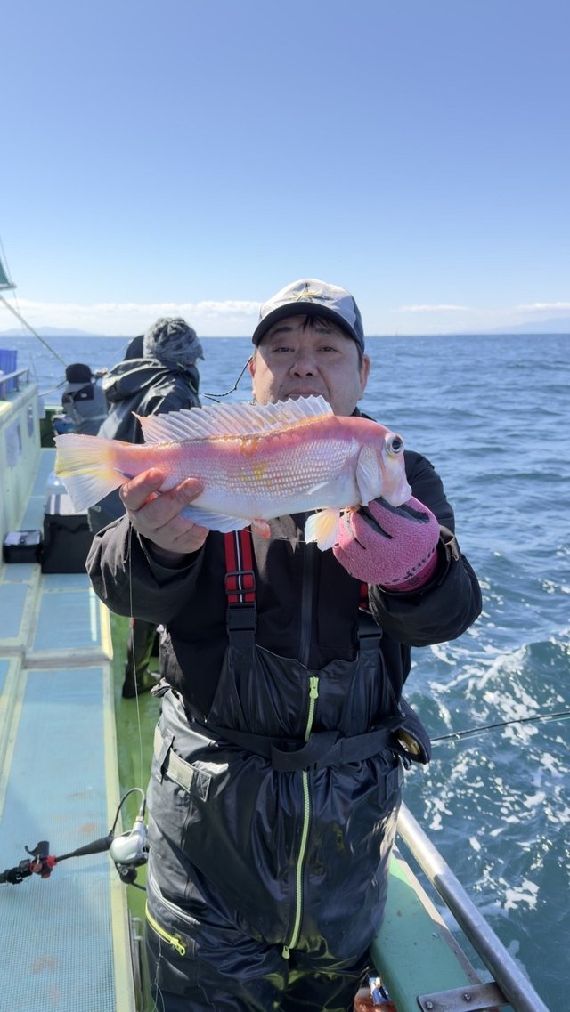 アマダイ(アカアマダイ)