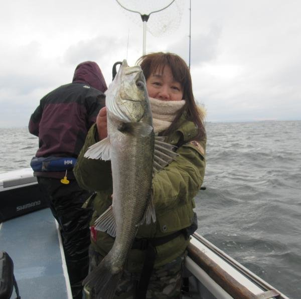 シーバス(スズキ)