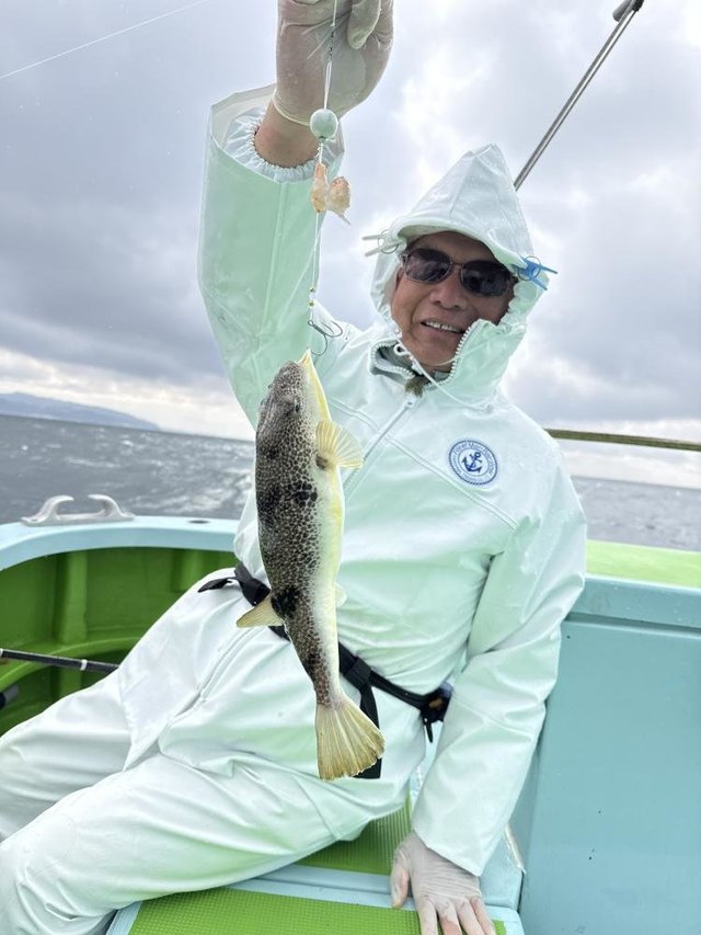 フグ(ショウサイフグ)