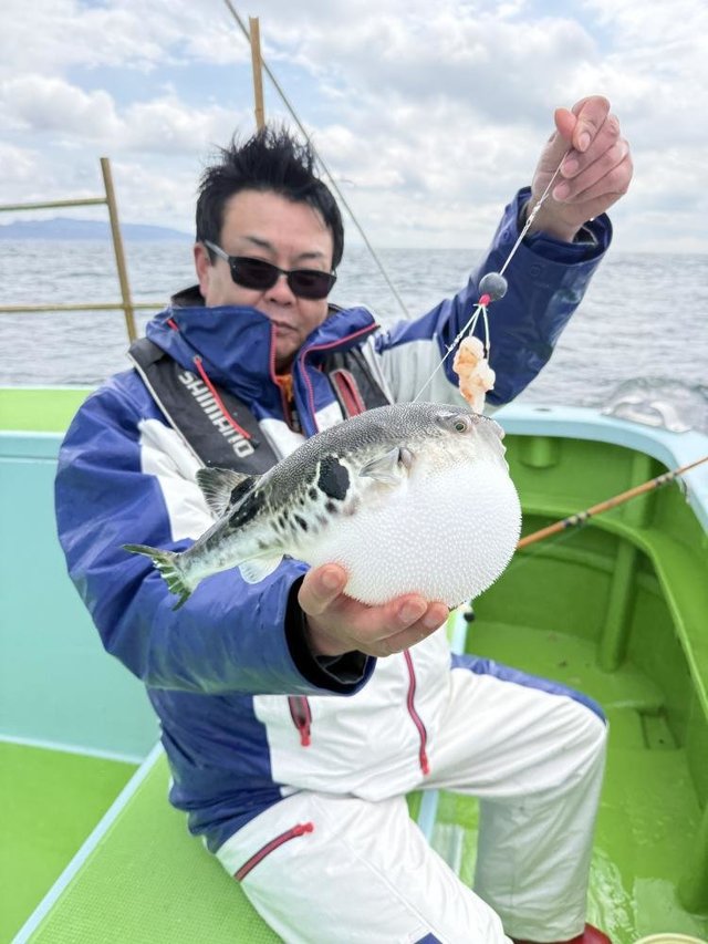 フグ(トラフグ)