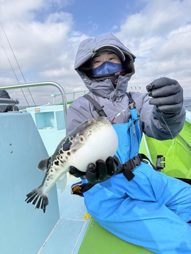 フグ(トラフグ)