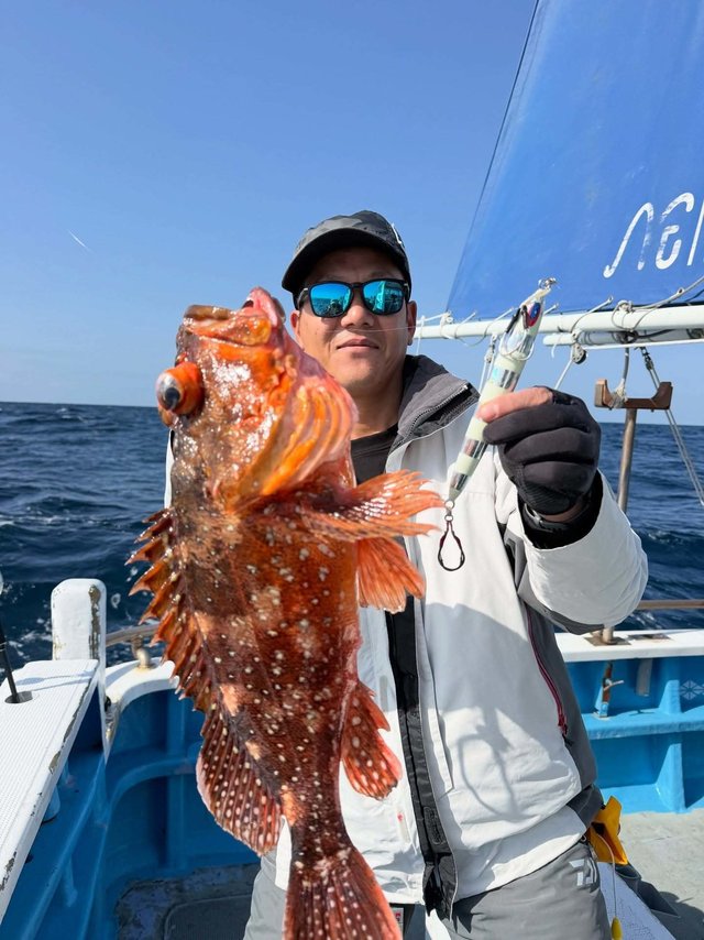 ウッカリカサゴ