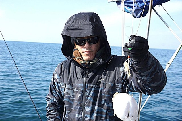 ショウサイフグ