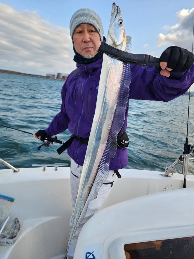 タチ(タチウオ)