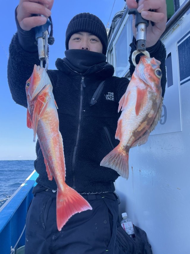 メバル・ホウボウ