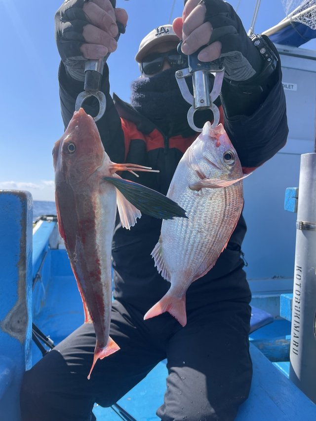 マダイ・ホウボウ