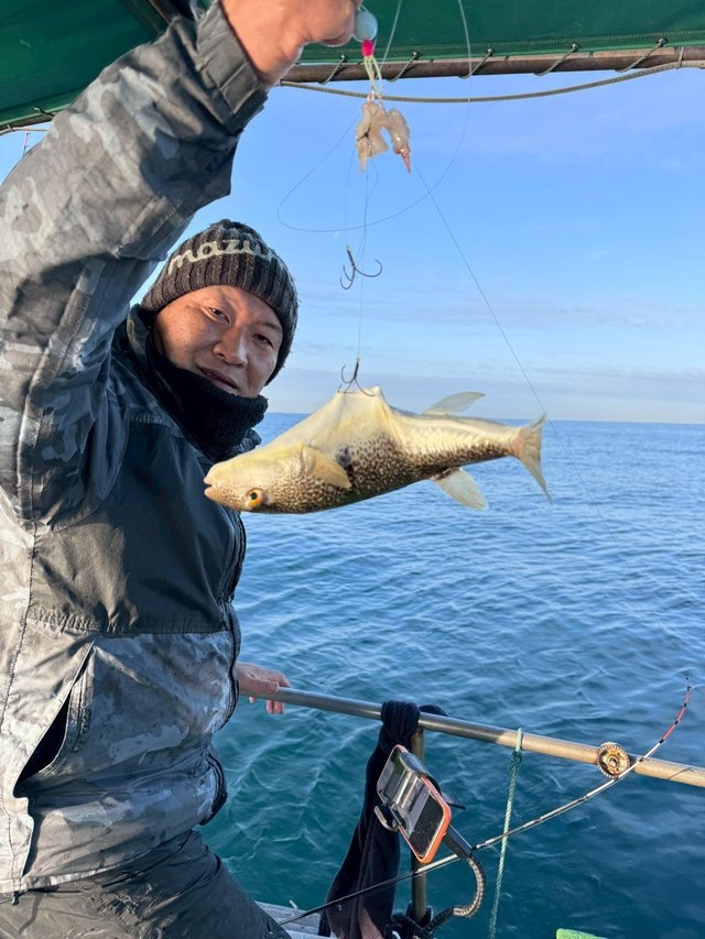 ショウサイフグ