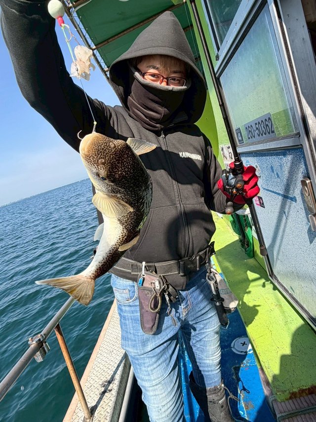 ショウサイフグ