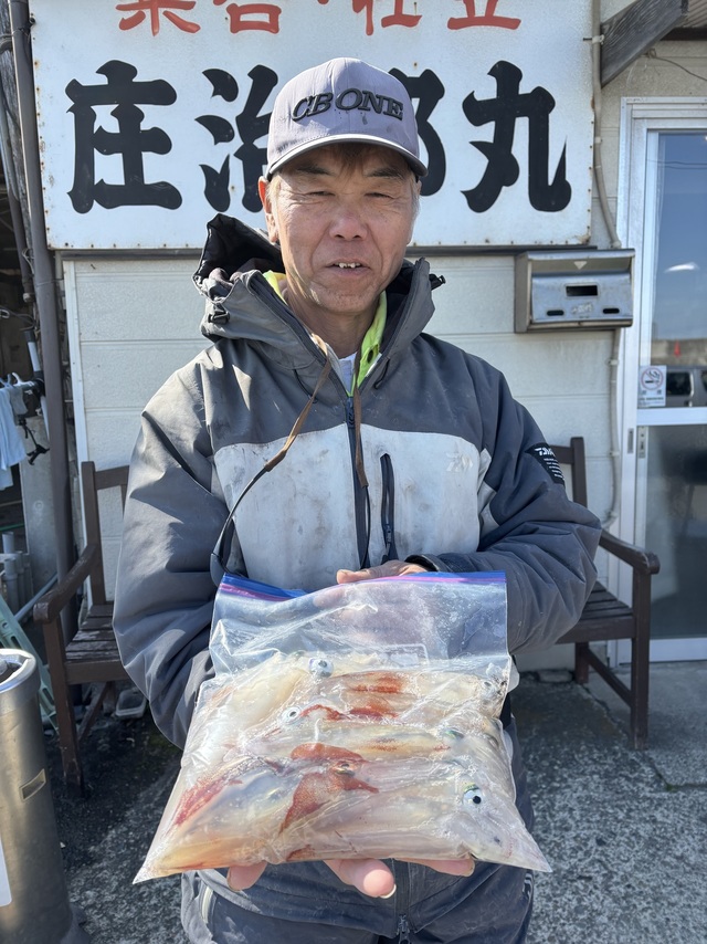 マルイカ(ケンサキイカ)