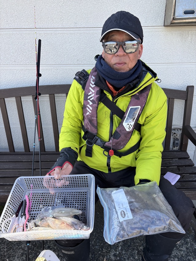 マルイカ(ケンサキイカ)