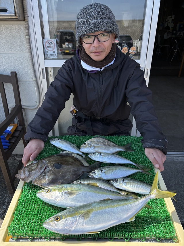 アジ(マアジ)・イナダ(ブリ)