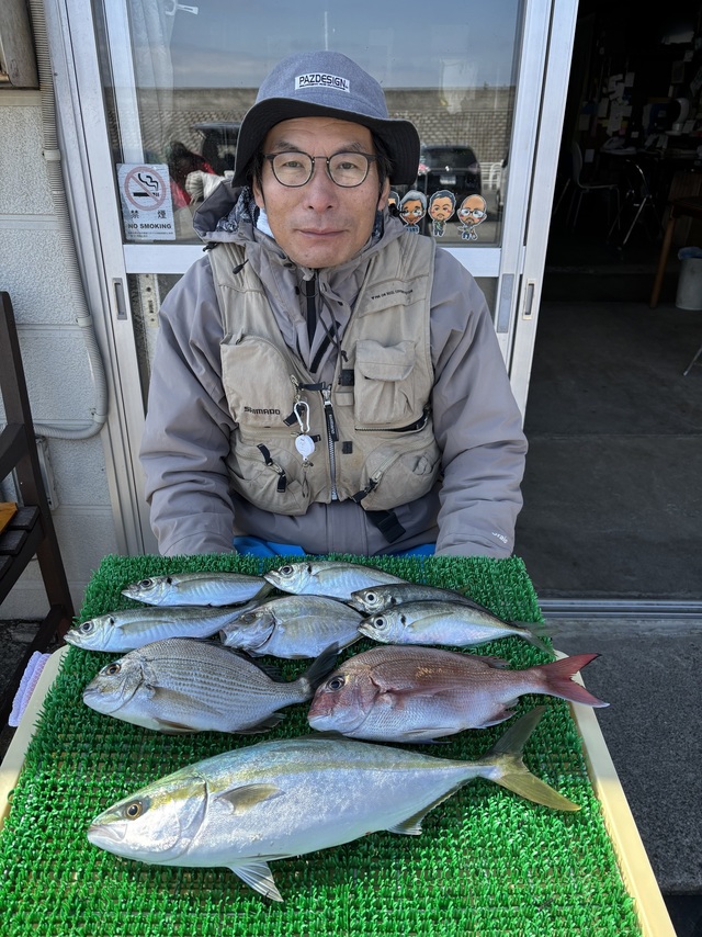 アジ(マアジ)・イナダ(ブリ)