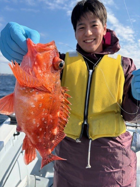 カンコ(ウッカリカサゴ)