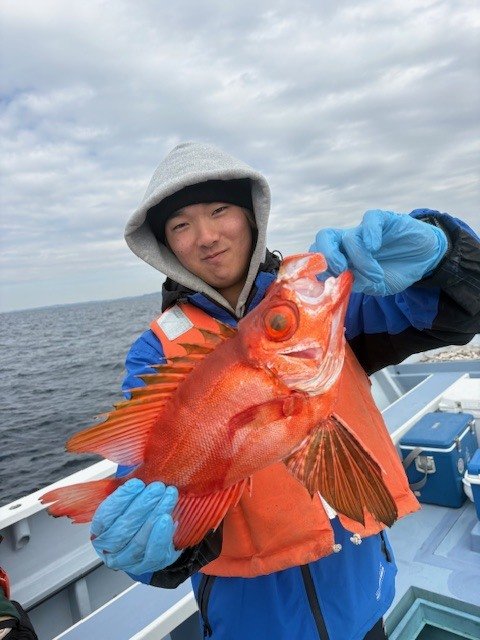 キントキ(チカメキントキ)