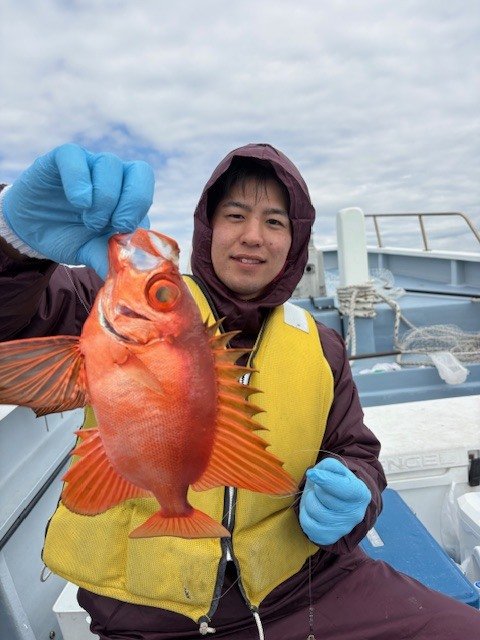 キントキ(チカメキントキ)