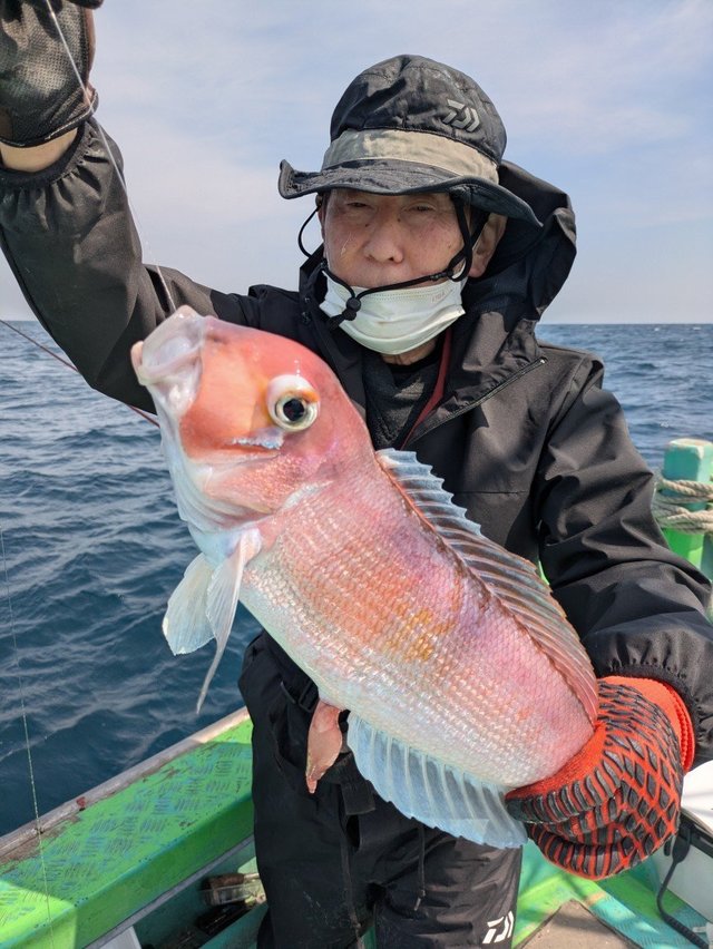 アマダイ(アカアマダイ)