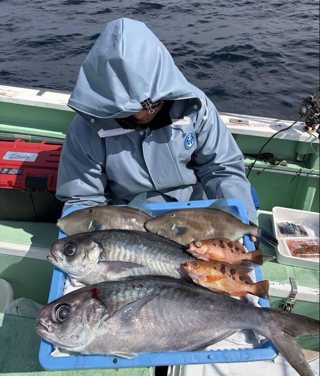 メダイ・ウマヅラ(ウマヅラハギ)・オキメバル(ウスメバル)