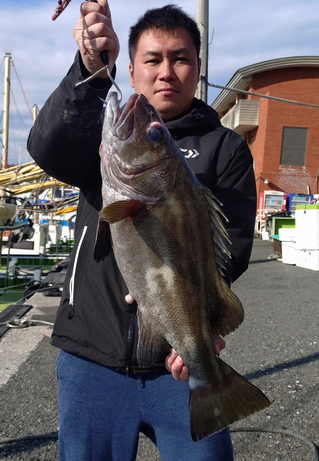 イシナギ(オオクチイシナギ)