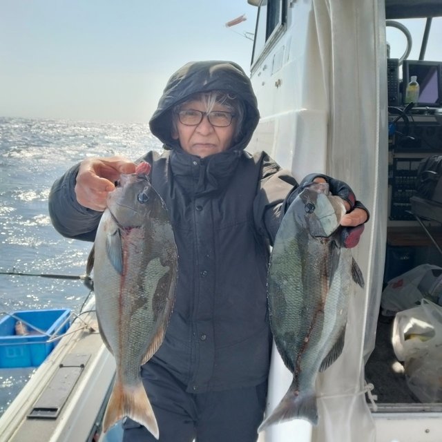 オナガ(クロメジナ)