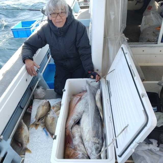 マダイ・イサキ・メダイ