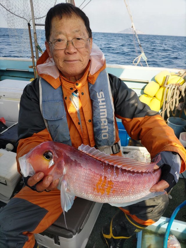 アマダイ(アカアマダイ)