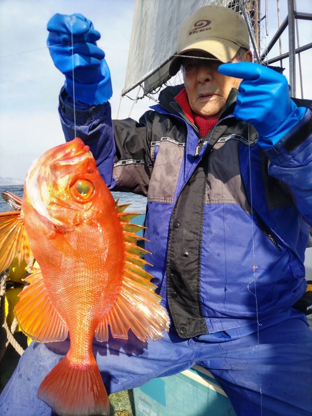 キントキ(チカメキントキ)