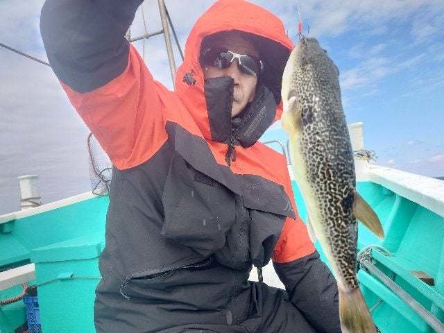 ショウサイフグ