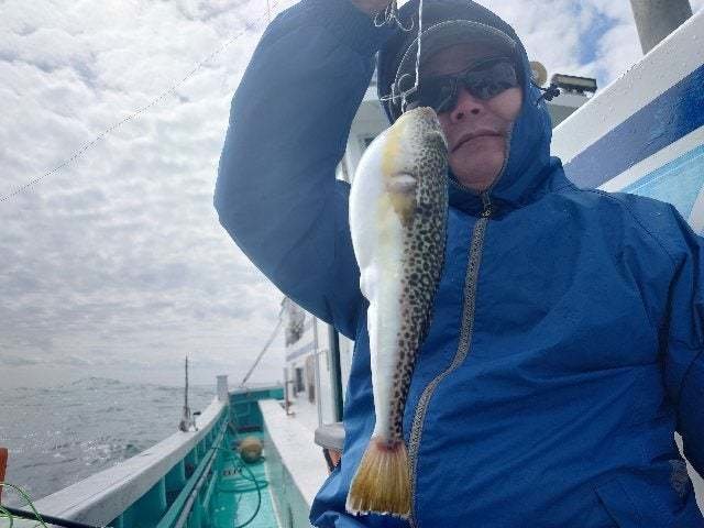 ショウサイフグ