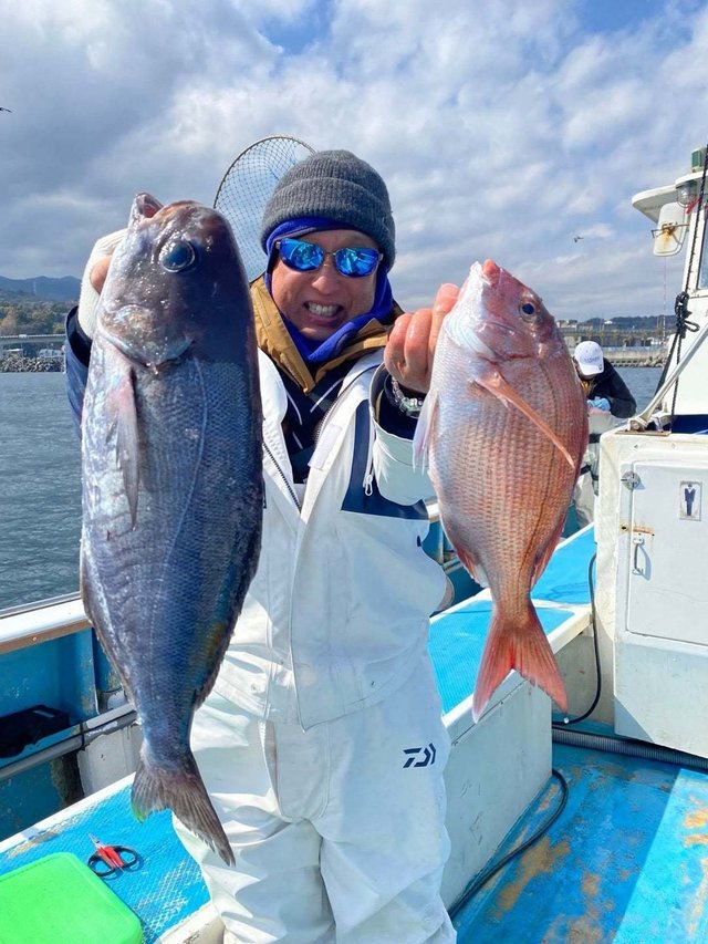 マダイ・メダイ