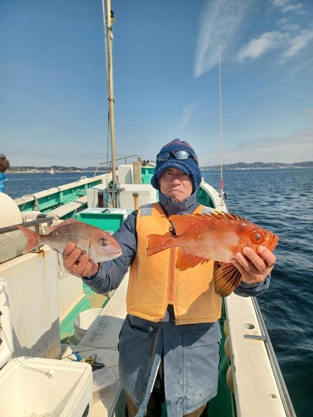 マダイ・キントキ(チカメキントキ)