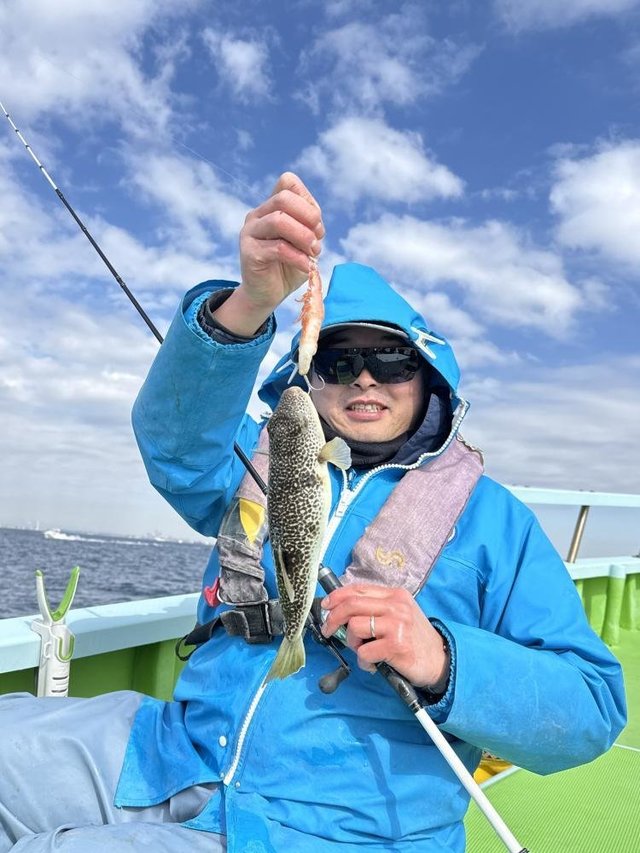 フグ(ショウサイフグ)