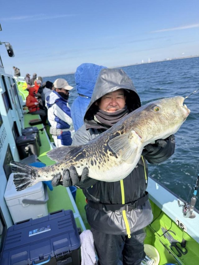 フグ(トラフグ)