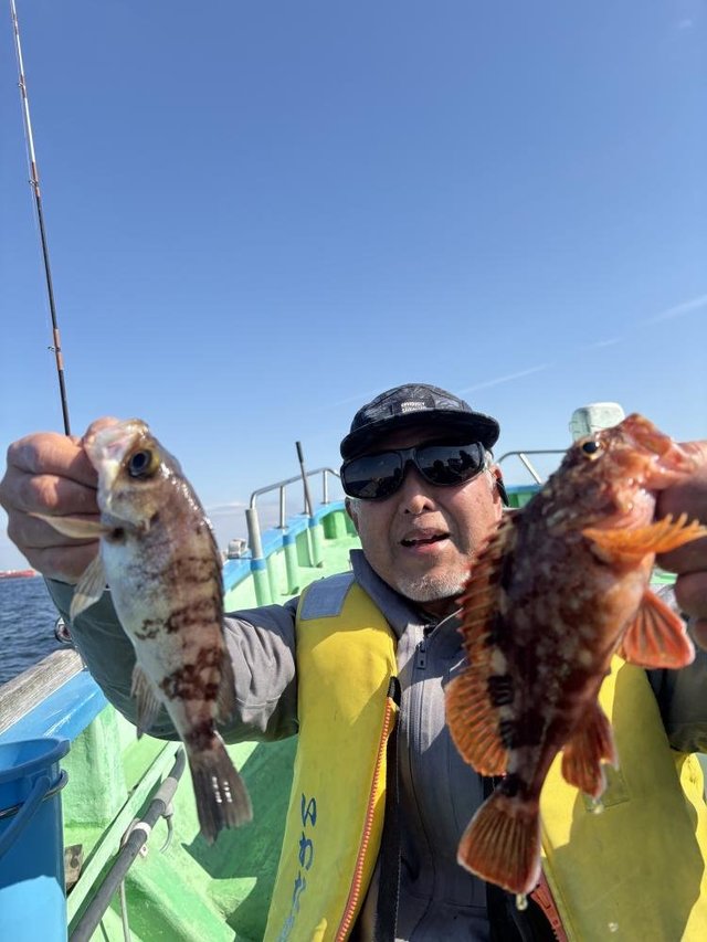 カサゴ・メバル