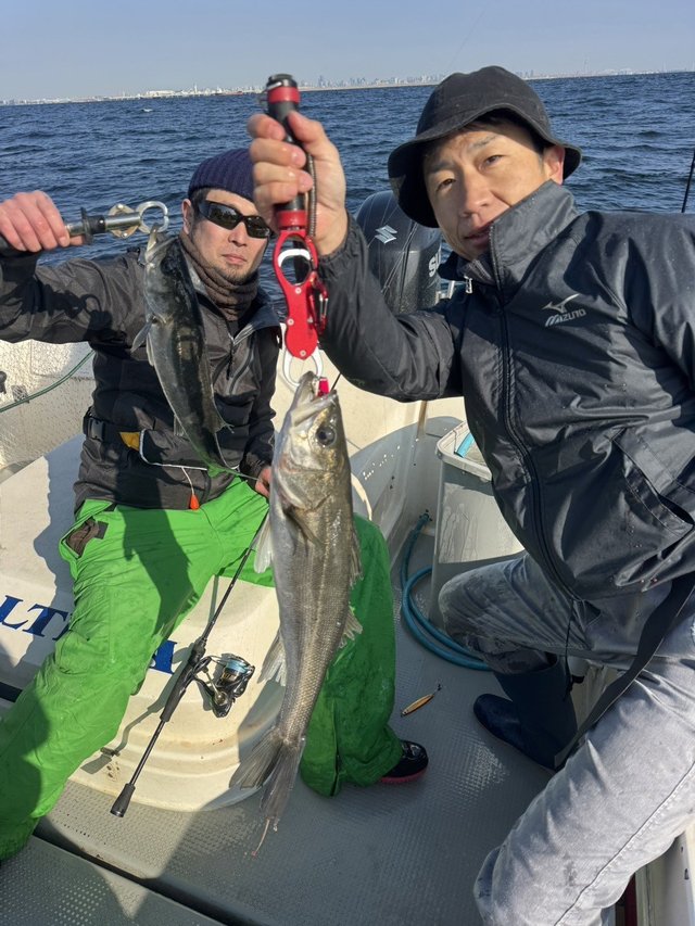 シーバス(スズキ)