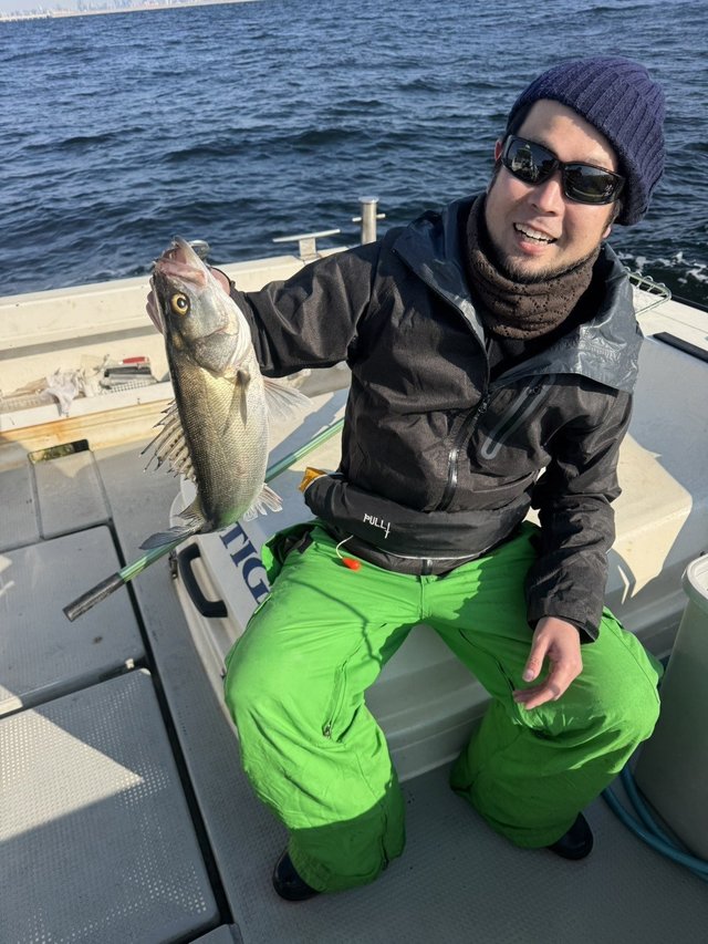 シーバス(スズキ)