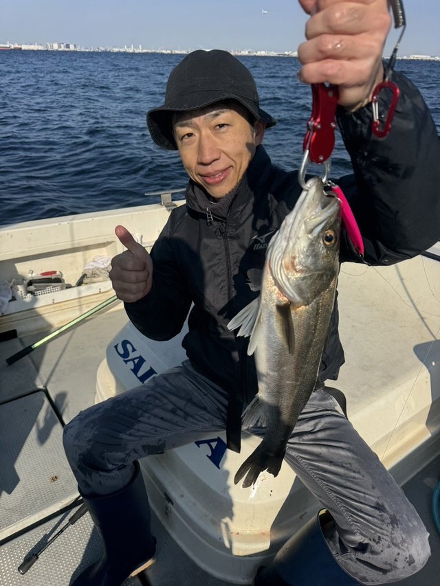 シーバス(スズキ)