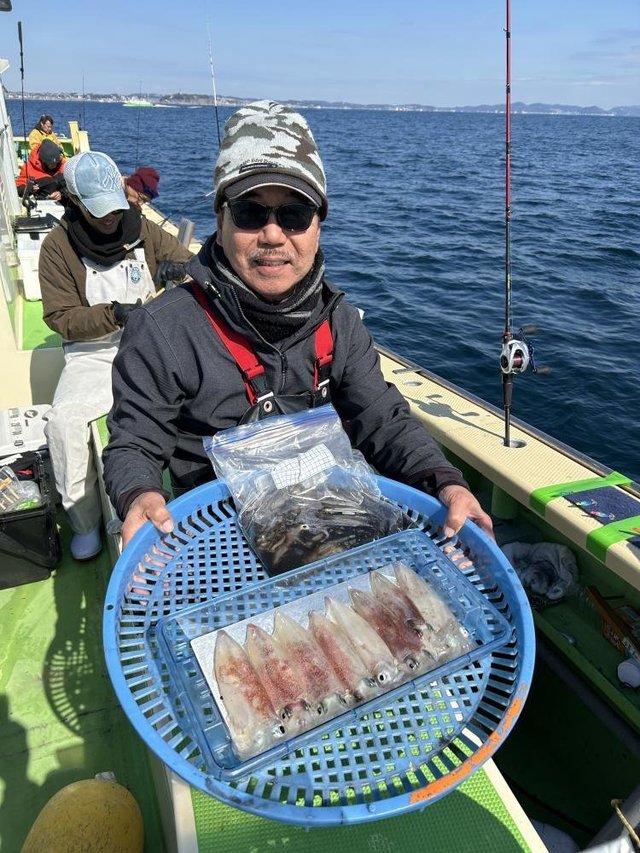 マルイカ(ケンサキイカ)