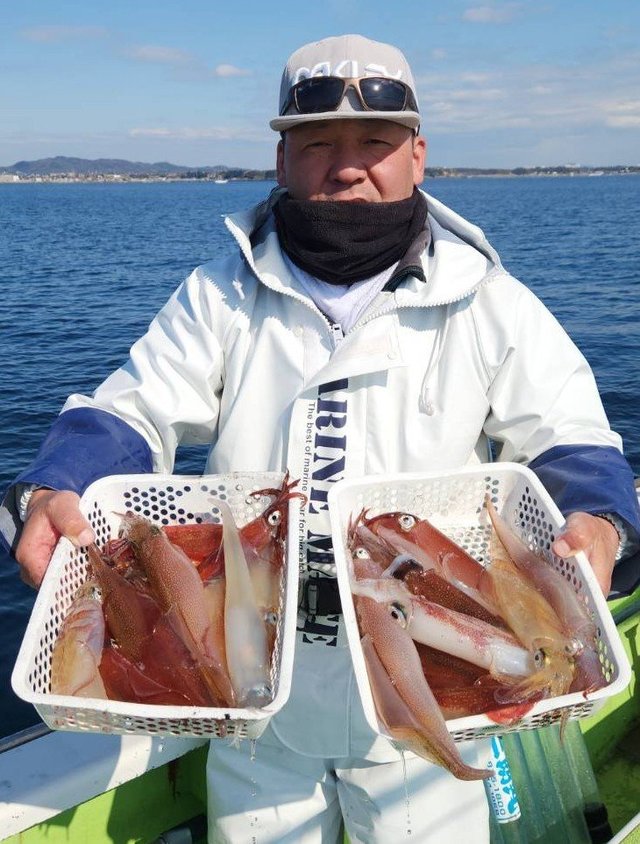 マルイカ(ケンサキイカ)