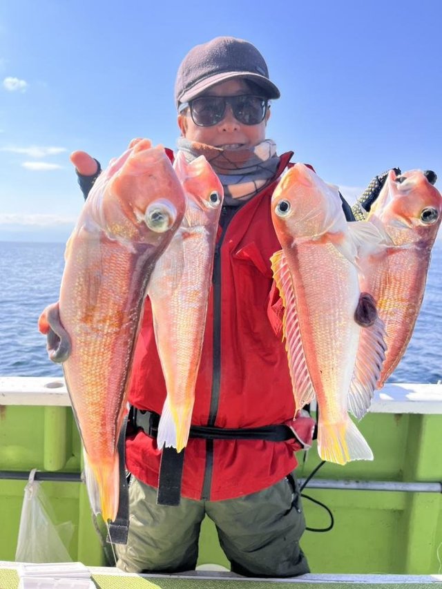 アマダイ(アカアマダイ)