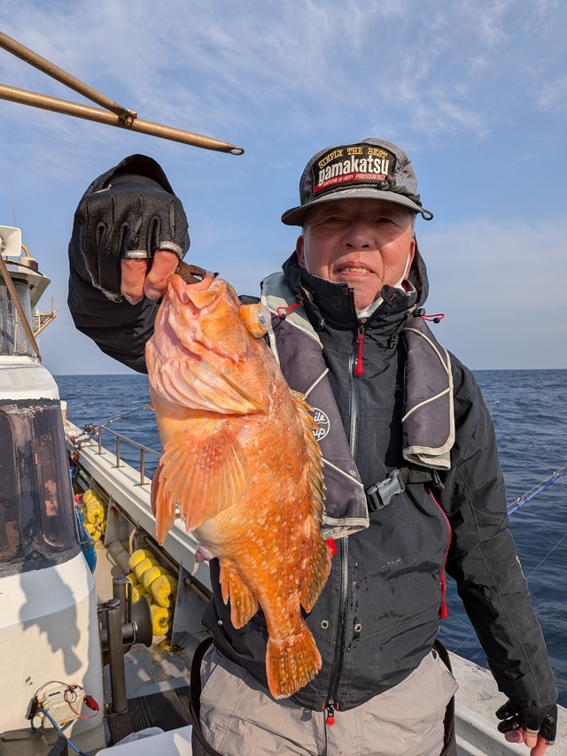 アラカブ(カサゴ)