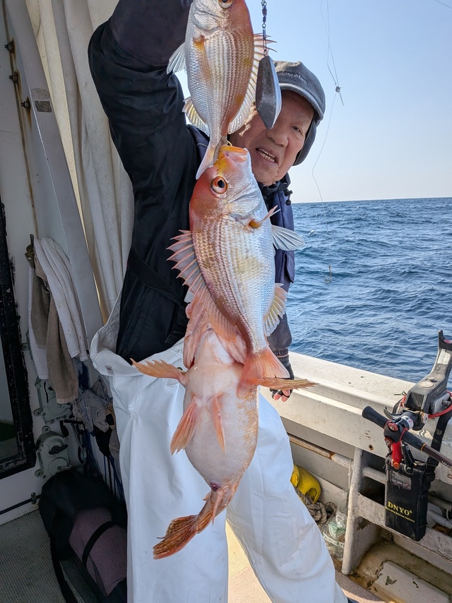 レンコ(キダイ)