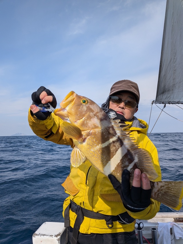 アオナ(アオハタ)