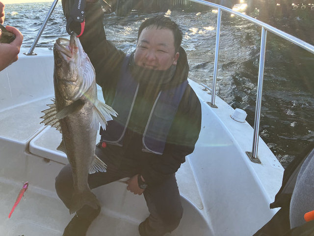 シーバス(スズキ)