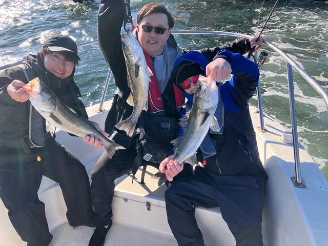 シーバス(スズキ)