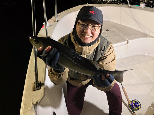 シーバス(スズキ)