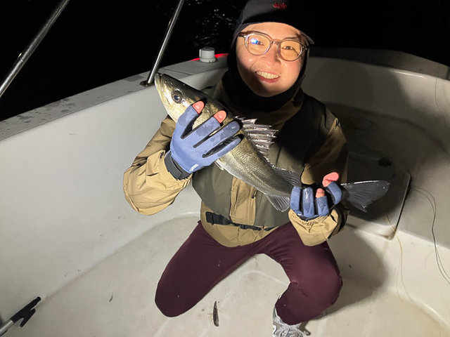 シーバス(スズキ)